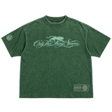 GREEN — WATCH. GAVIN WILLIAMS THE PANTHER